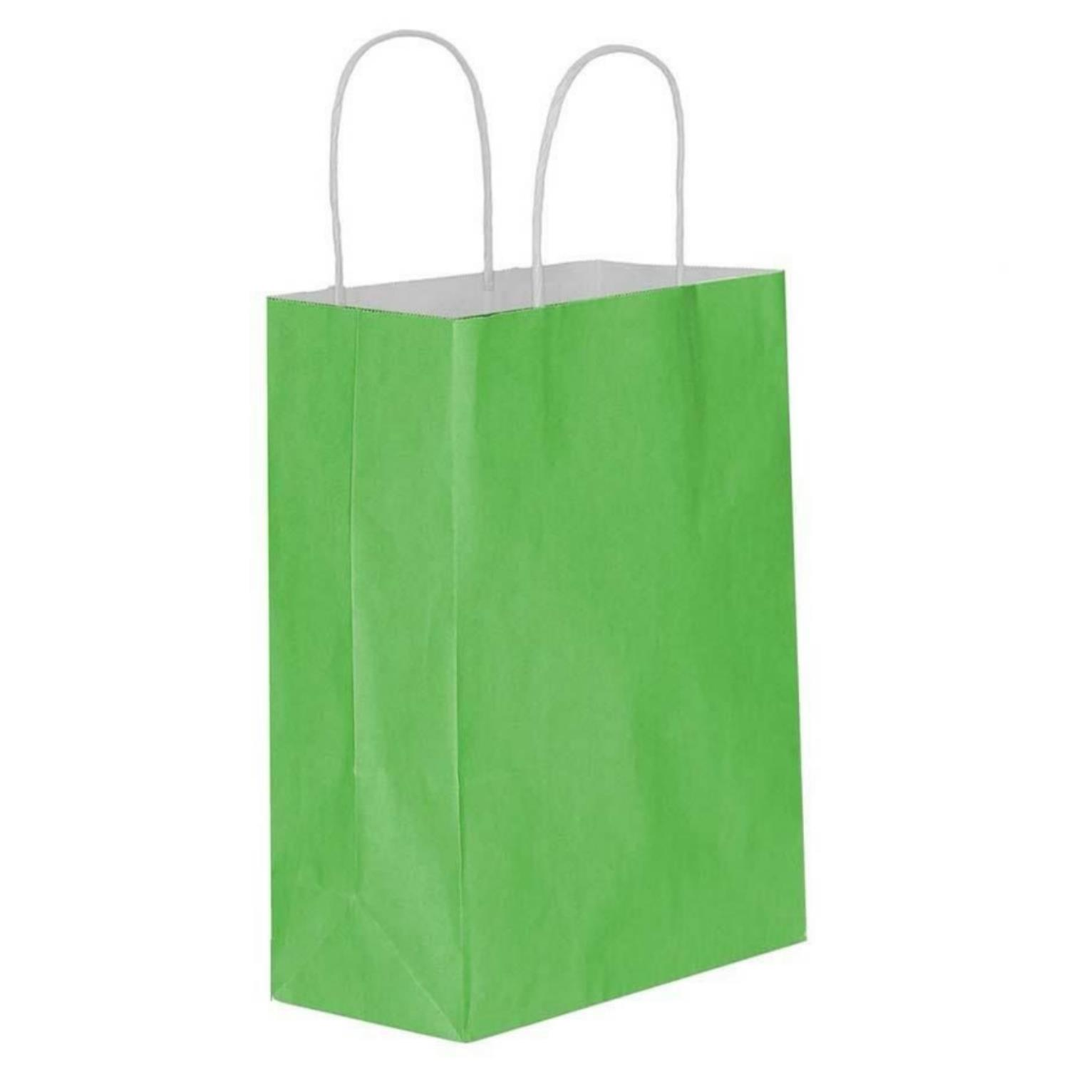 Burgu Saplı Yeşil Kağıt Çanta 32x40x12cm