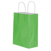 Burgu Saplı Yeşil Kağıt Çanta 32x40x12cm