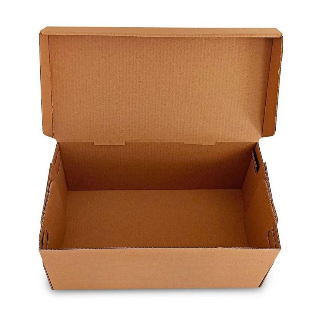 Mikro Hamburger Kutusu 20x12x9,3cm 100 Adet