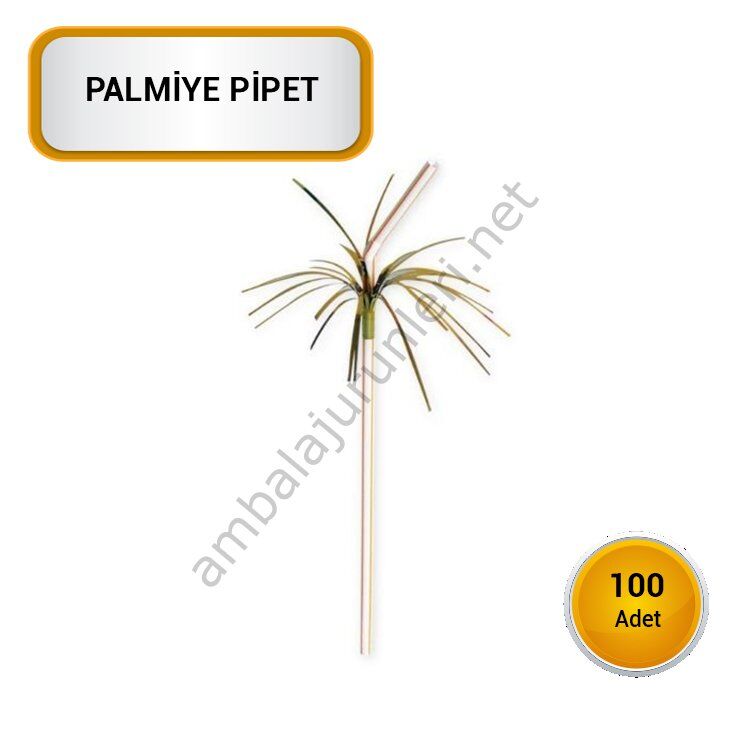 PALMİYE PİPET